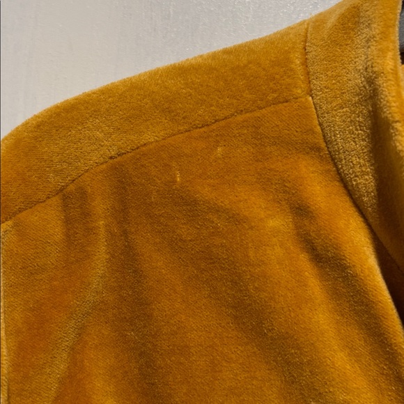 JULIA AMORY madarian velvet jacket - Picture 7 of 12